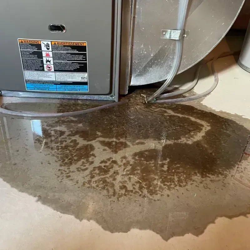 Appliance Leak Cleanup in West Town, IL